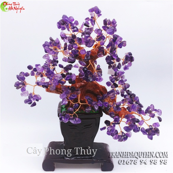 cây tài lộc đá thạch anh tím